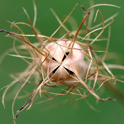 362